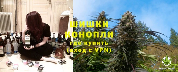 стаф Богородицк
