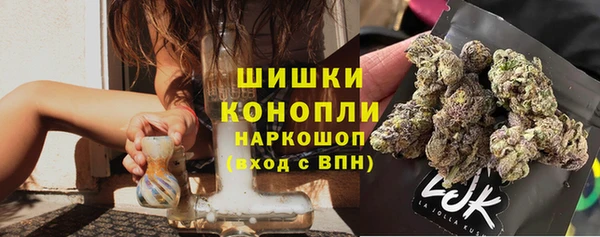 шишки Богородск