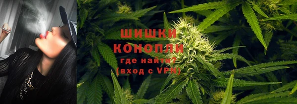 шишки Богородск