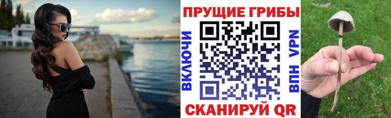 где купить наркоту  Комсомольск  ОМГ ОМГ ссылка  Псилоцибиновые грибы MAGIC MUSHROOMS 